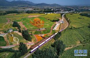 秦皇岛山海旅游观光火车进入项目观摩测试阶段 开启旅游观光的流动风景线